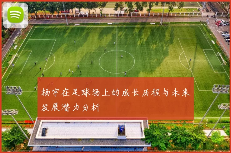 杨宇在足球场上的成长历程与未来发展潜力分析
