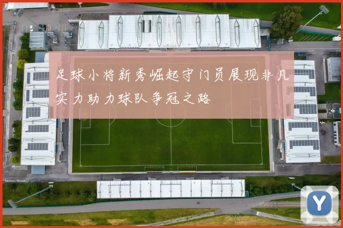 足球小将新秀崛起守门员展现非凡实力助力球队争冠之路