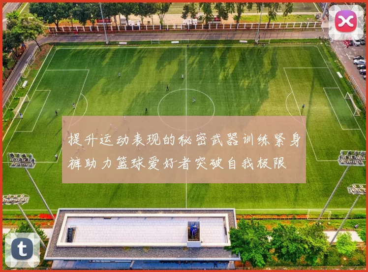 提升运动表现的秘密武器训练紧身裤助力篮球爱好者突破自我极限